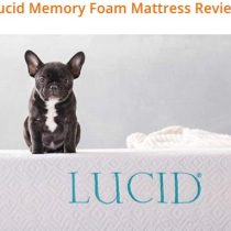 LUCID 10 Inch Gel Memory Foam Mattress Review 2023 – Medium Feel
