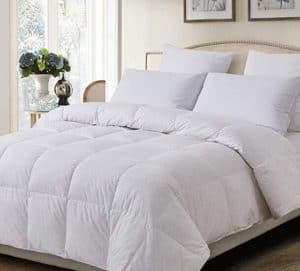 Decroom 100% Cotton Quilted down Comforter duvet insert with White Goose Duck down
