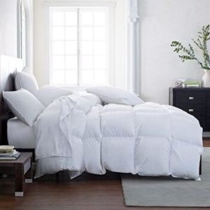 The Ultimate All Season Hypoallergenic Comforter Duvet Insert Deal Hotel Luxury Down Alternative with Tabs Washable