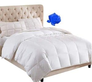 WhatsBedding 100 percent pure Cotton Cover White Goose Duck down & Feather Comforter, Hypoallergenic (Twin)