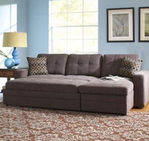 Gus Sectional Sofa with Pull Out Bed
