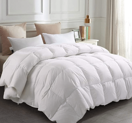 Comforter Queen- Solid White - Soft 1500 Thread Count Cotton Shell - 750 Fill Power - Down Duvet Insert with Tabs (White, Queen)
