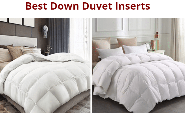Best Down Duvet Inserts