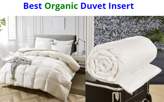 Best Organic Duvet Insert