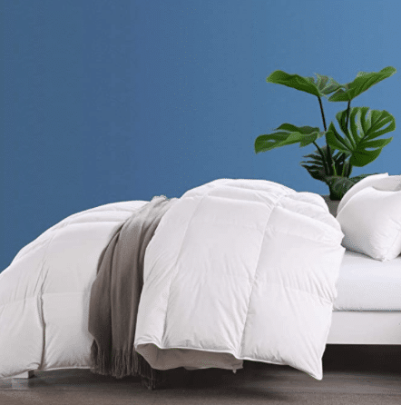Dafinner 100% Organic Cotton Down Comforter California King Size - All Season Goose Down Feather Medium Weight Quilted Hypoallergenic Duvet Insert, Ivory White