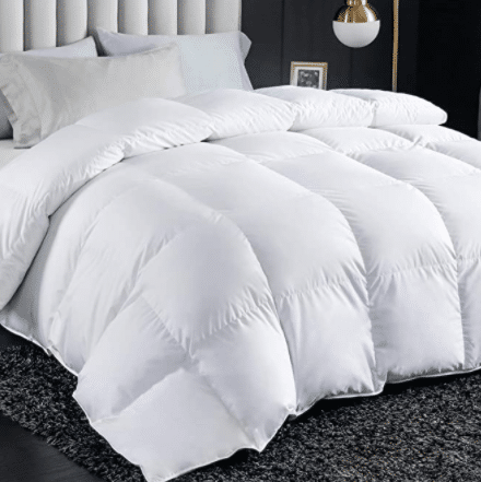 FAVRIQ Luxurious All Season Queen Size Down Comforter Duvet Insert, Ultra-Soft Egyptian Cotton, 1000g High Fill Power Fluffy Medium Warmth(White, Queen)
